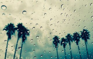 rain-rain-go-away-floridas-tornado-warning